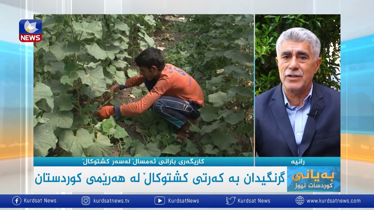 گرنگیدان بە کەرتی کشتوکاڵ لە هەرێمی کوردستان