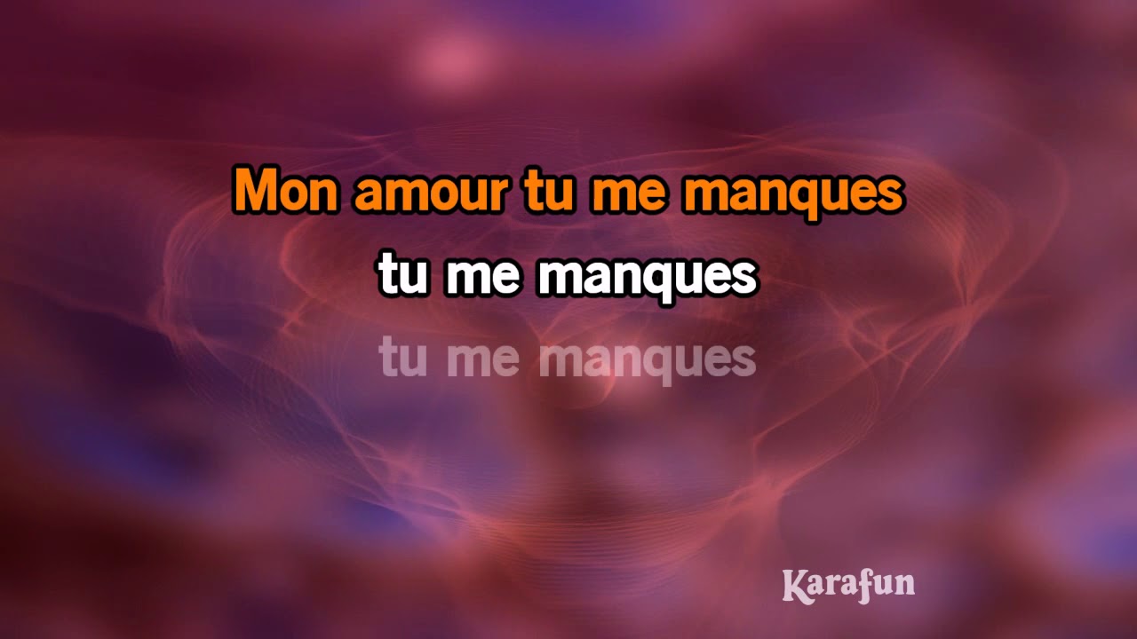 Karaoké Miss You - Carla Bruni *