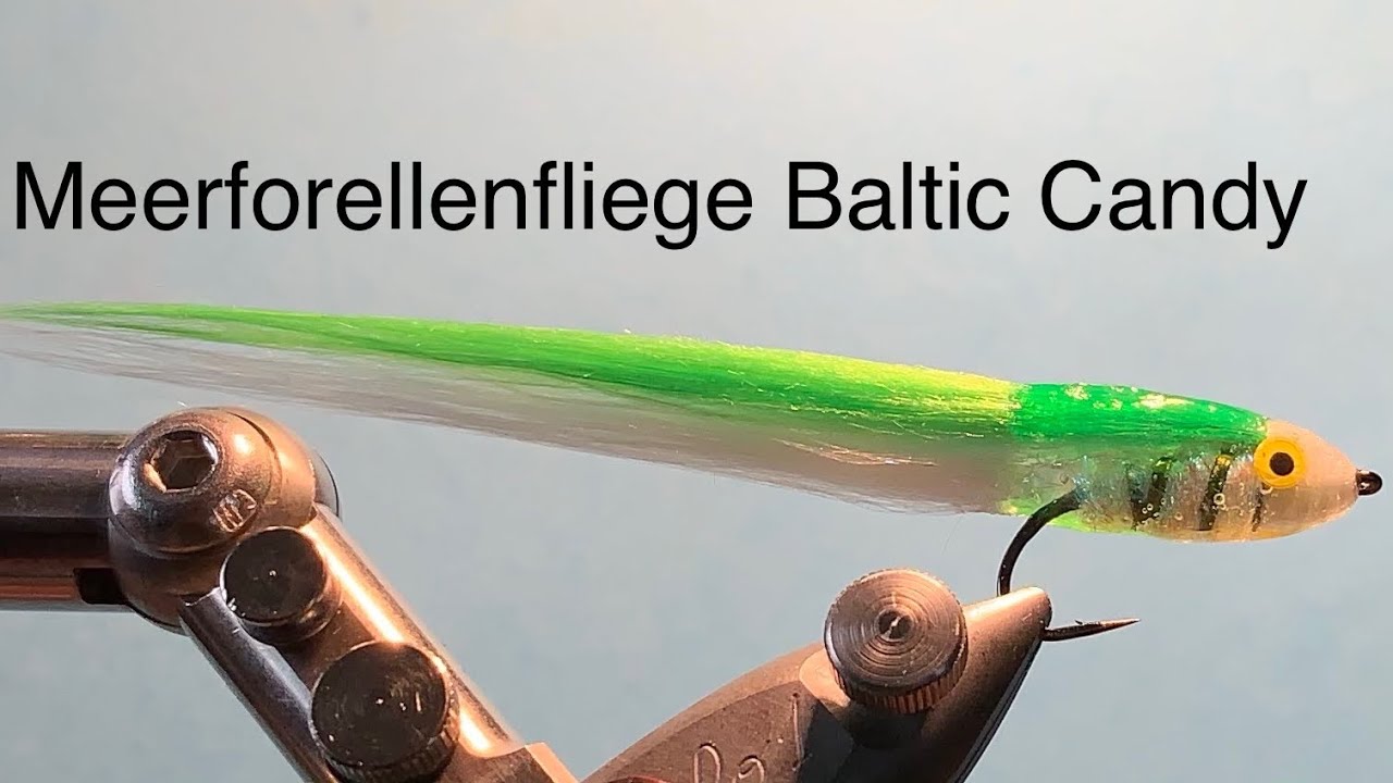 Fliegen binden Woodnflys : Meerforellenfliege Baltic Candy