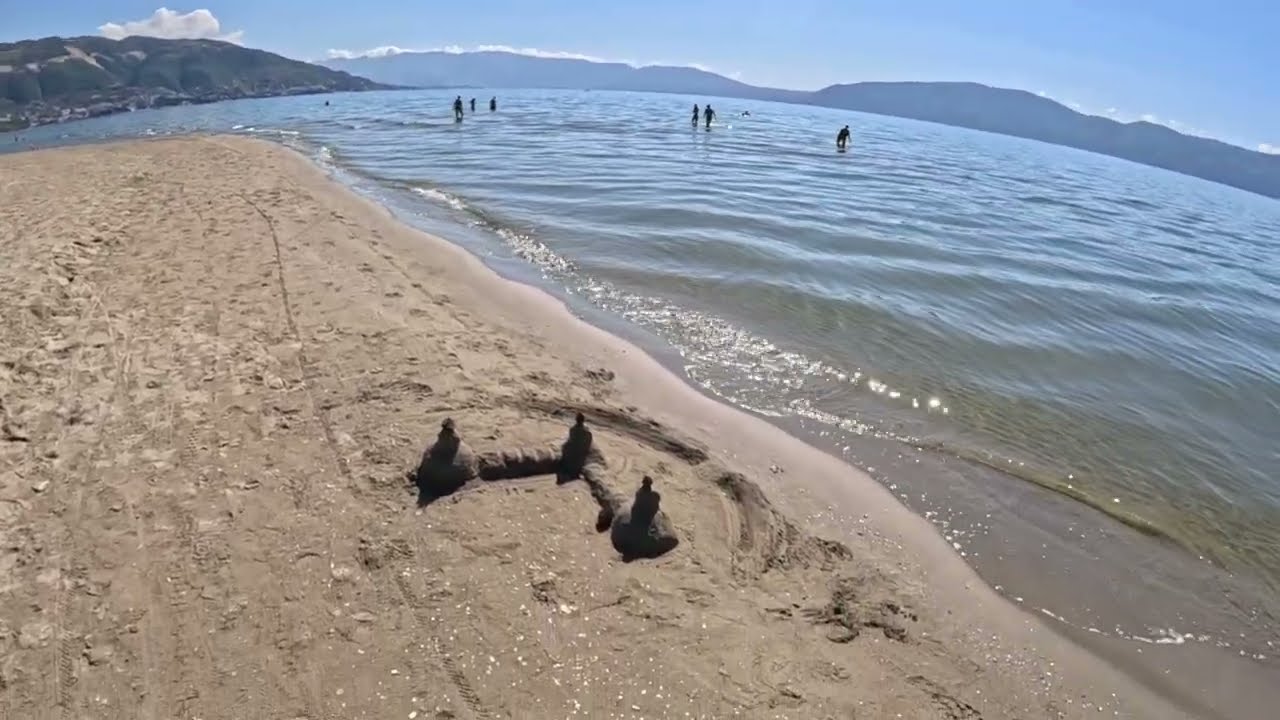 Vlora Albania Beach 🇦🇱 – Pine Trees by the Sea 4K