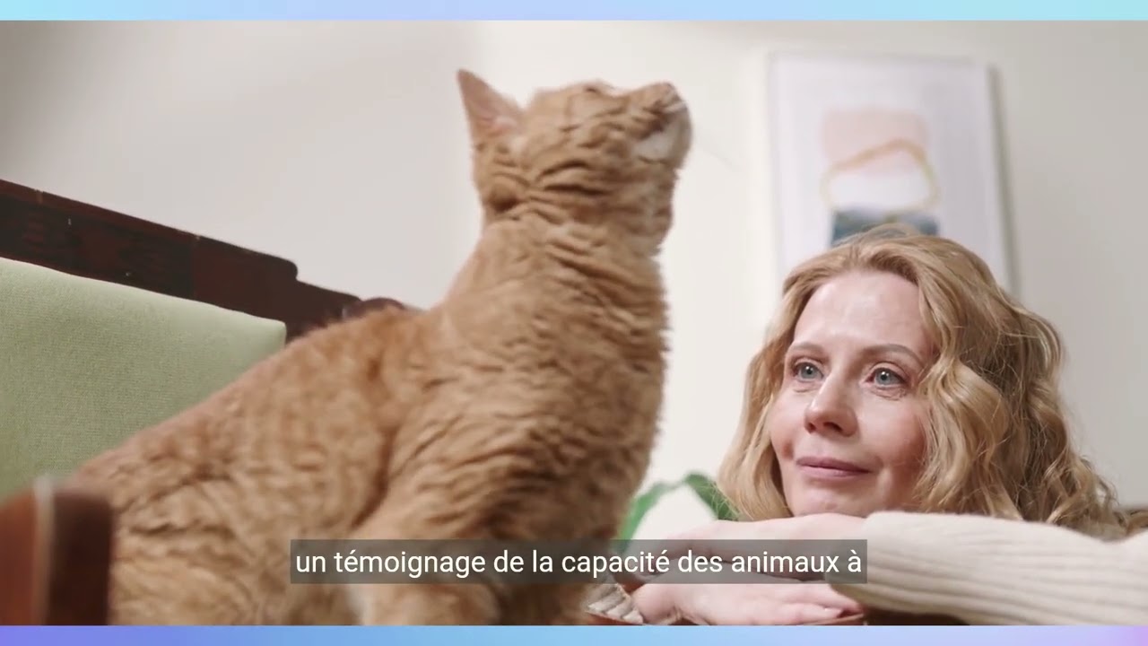 l'homme et le chat, l'histoire de la relation!!!