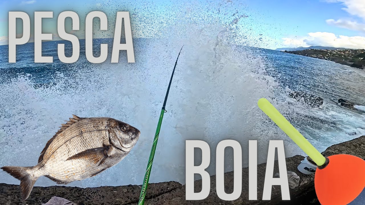 Pesca De Boia / Pesca Ilha Da Madeira