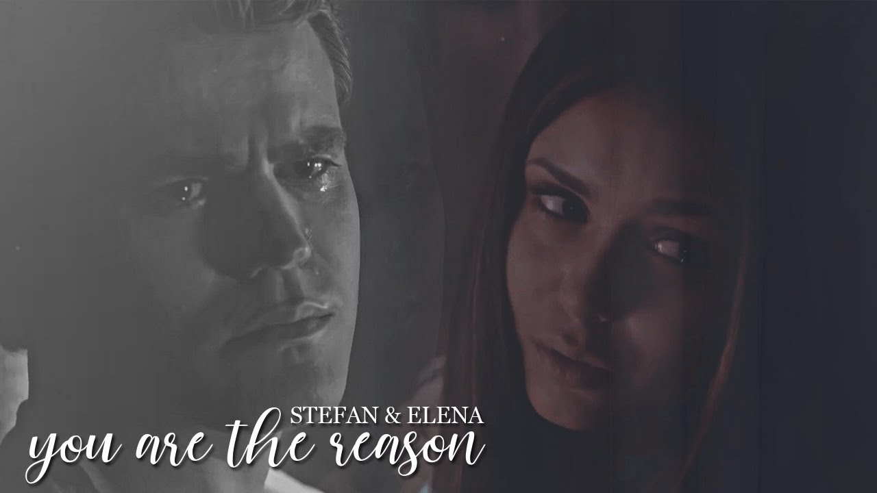 Stefan & Elena | You are the reason