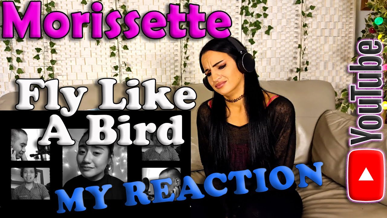 Morissette   Fly like a Bird
