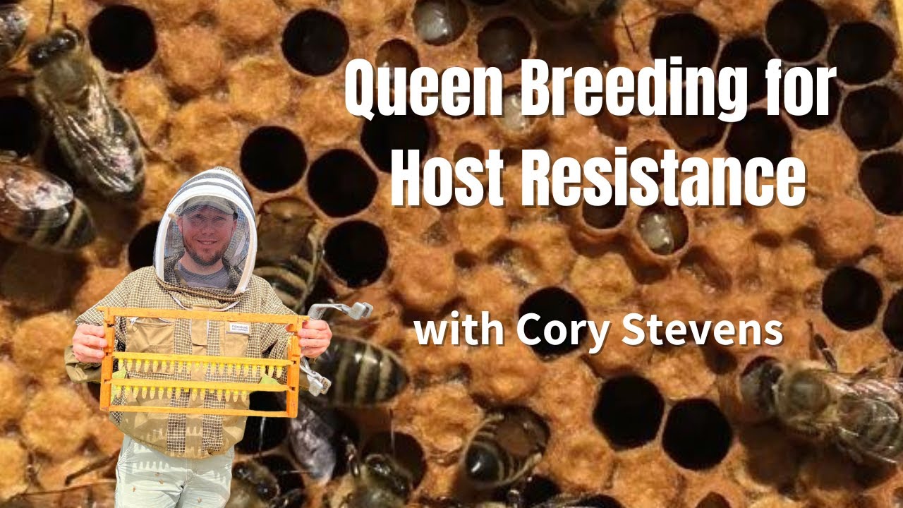 Expert queen breeder Cory Stevens sits down with Chari Elam