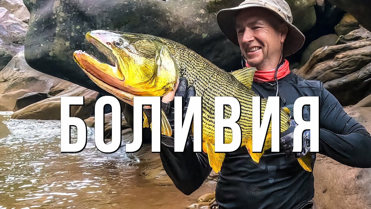 Повёрнутые на золотой дораде. Боливийская Амазония