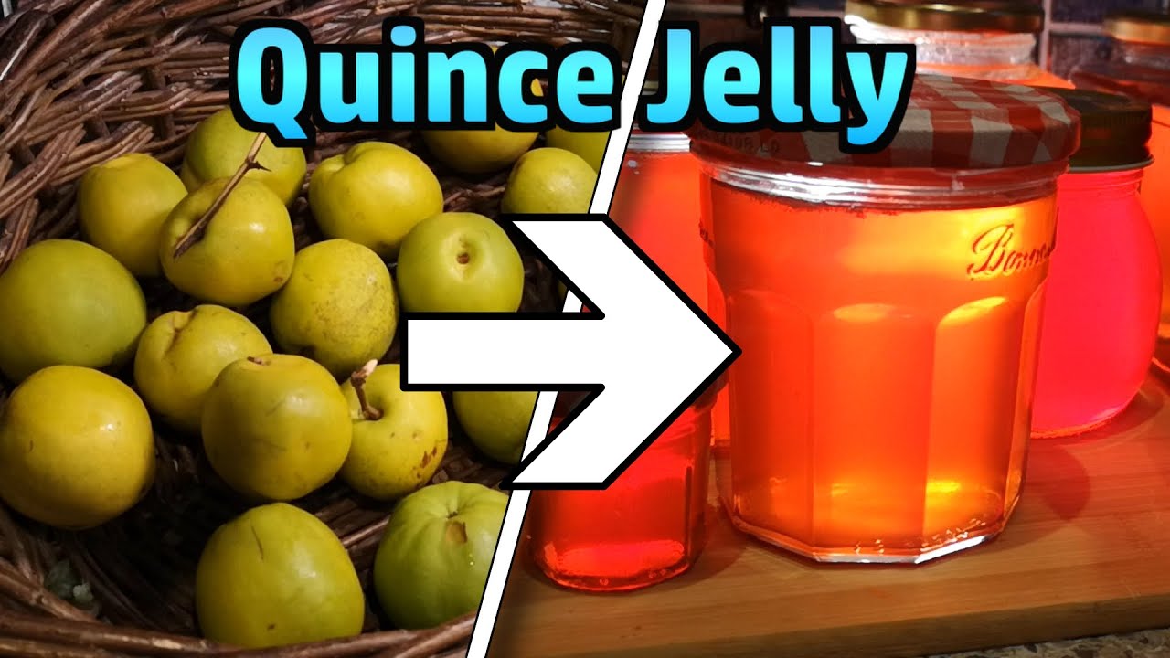 Making Delicious Jelly from Japanese Quinces