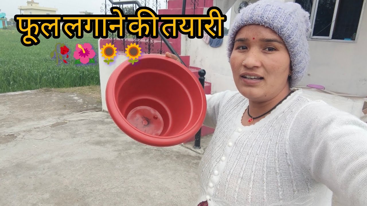 गार्डन के सारे फूल खा दिया बकरियो ने 🤔🤔🌺🌺सारा गार्डन खाली कर दिया 