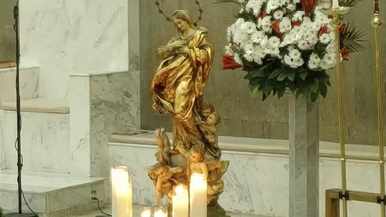 2025 12 08. Parroquia San Cipriano, Bogotá. Homilía Misa 6PM.