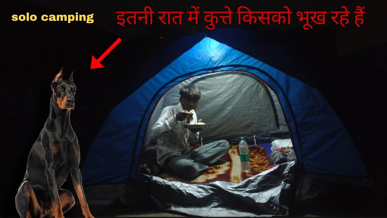 Solo camping 🏕️ रात के 2:00 कुत्ते किसको भौंक रहे हैं 😱 #vkradventure #camping 