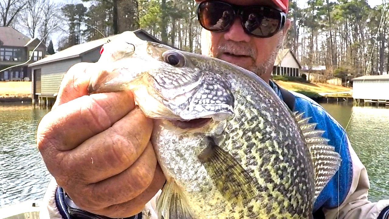 Let Me Show You An Easy Way To Catch JUMBO SLAB Crappie For Dinner!