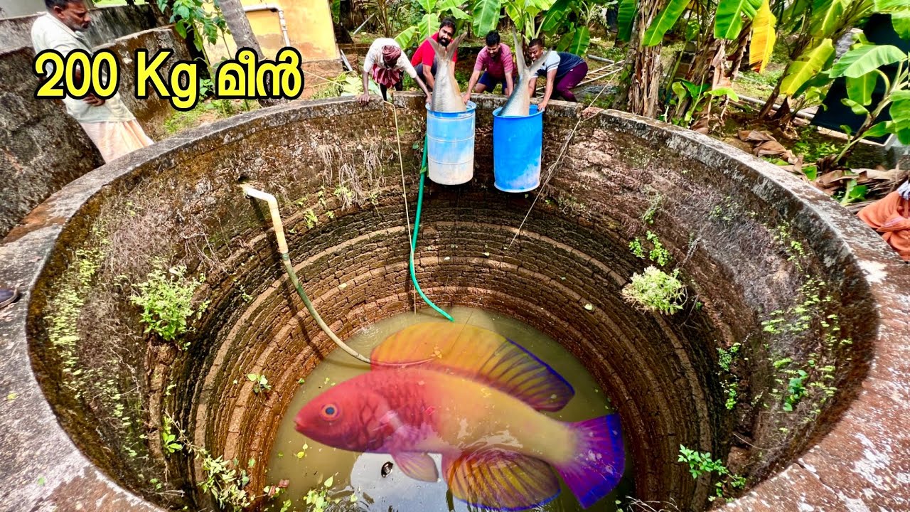 വീട്ടുമുറ്റത്തെ കൂറ്റൻ കിണർ വറ്റിച്ചപ്പോൾ..!!