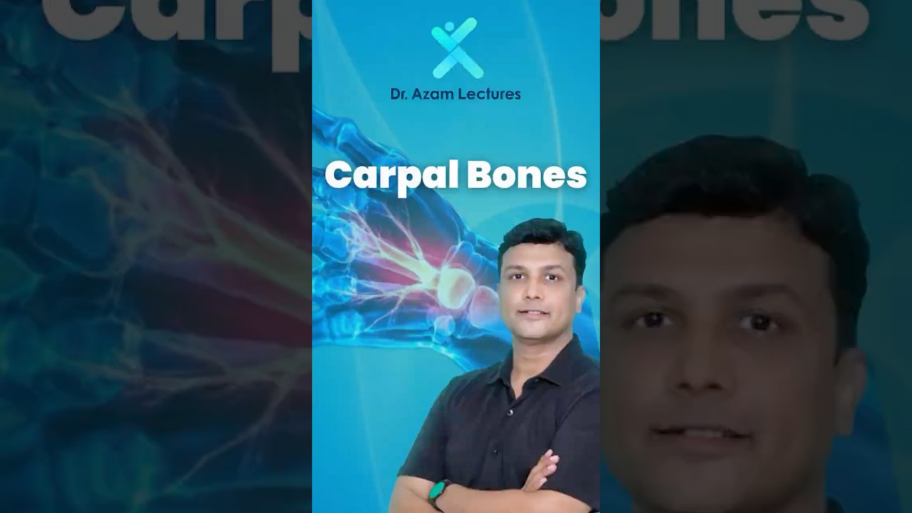 &ldquo;Unlocking the Mystery of the Carpal Bones 🖐️&rdquo; #studysmart #anatomy #examtips #fmge2025