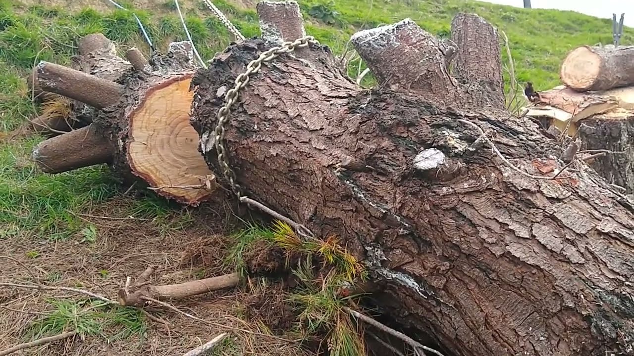 Hand Winching a Log out of a Gully - Wyeth Scott More Power Puller