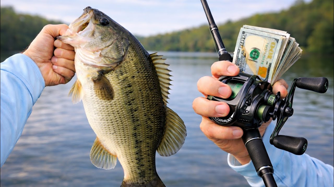 I caught a 4 pound bass in a bass fishing tournament 