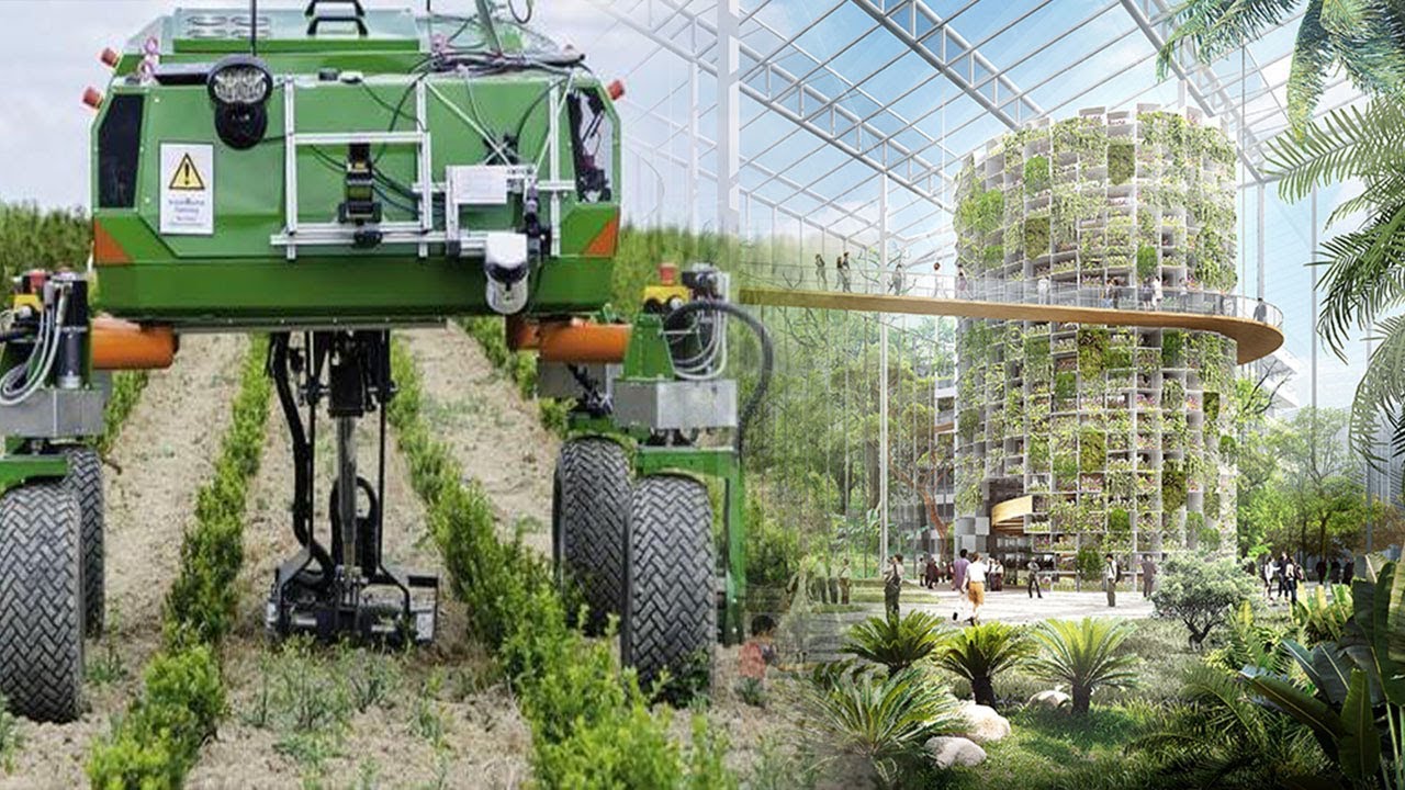 China Innovation! The Rise Of Advanced Technology in Farming Taking Place In China