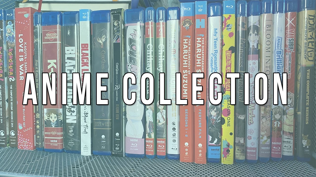 My 100 +  Anime  Blu-Ray/ DVD Collection
