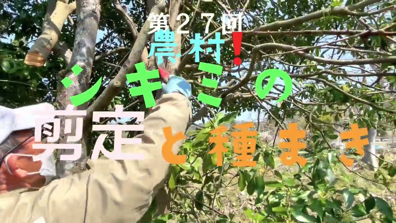 【農村カフェつくるぞー！】第２７回「農村！シキミの剪定と種まき」