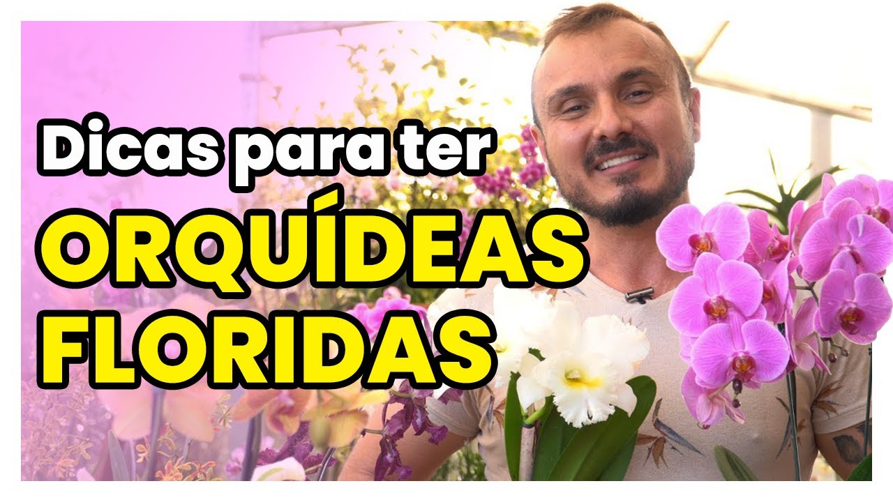 COMO TER ORQUÍDEAS MAIS FLORIDAS | Aprenda dicas infalíveis