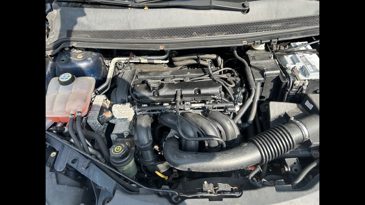 S 8229 ДВС (Двигатель) Ford Focus-2 1.6i HWDA (HWDB)