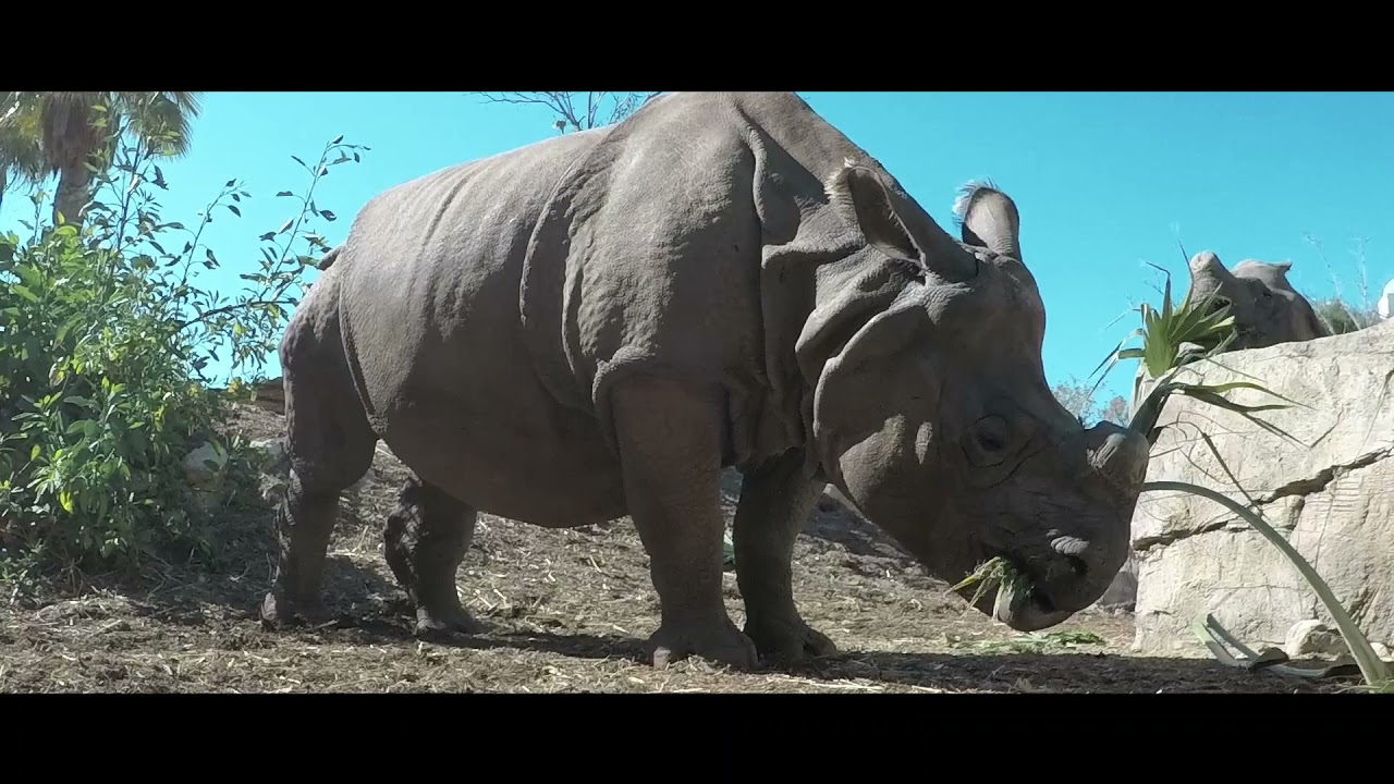 Terra Natura Benidorm