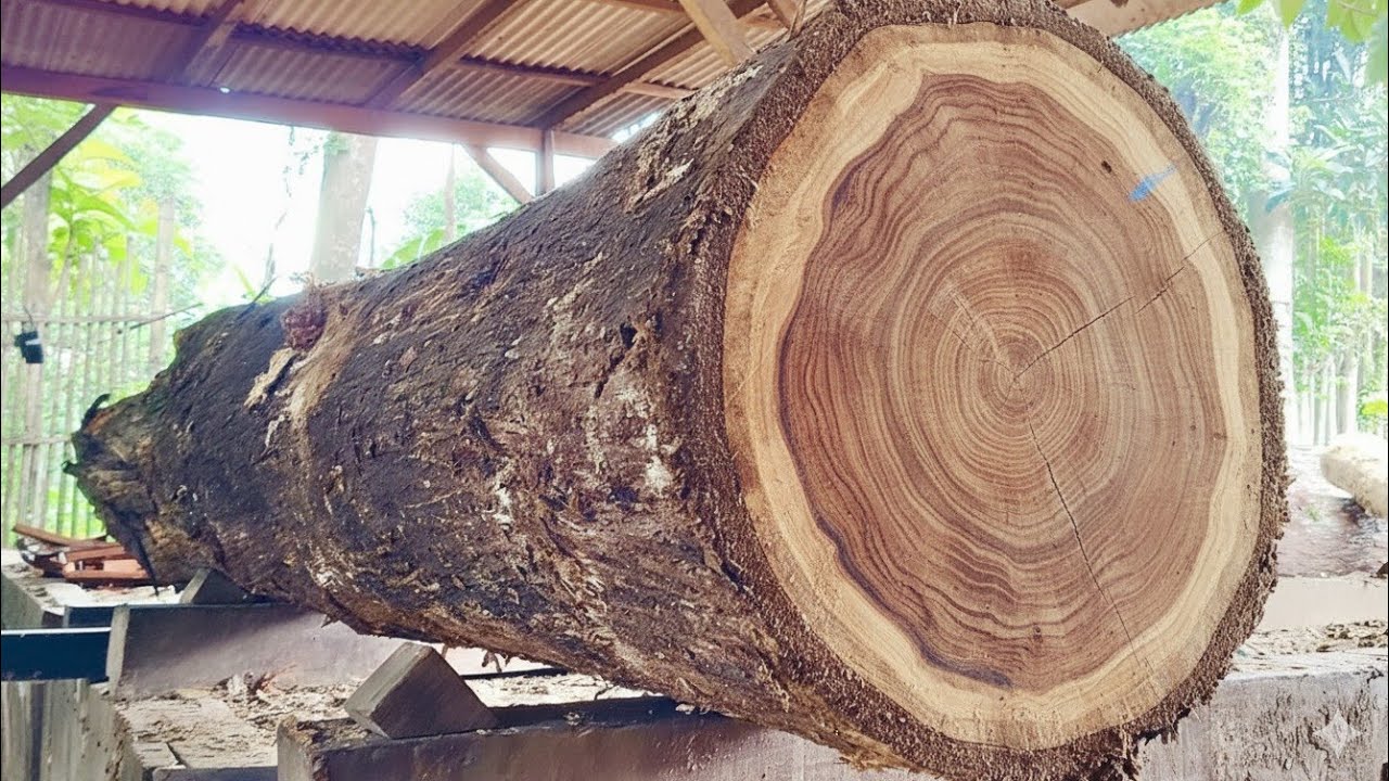 🌲Красота естественной текстуры свежерасколотой тиковой древесины🌲