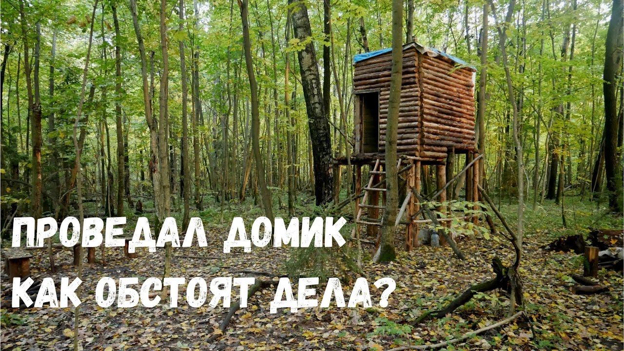 Домик над землёй #12 / Установил фотоловушку, сделал стол, работа внутри домика.