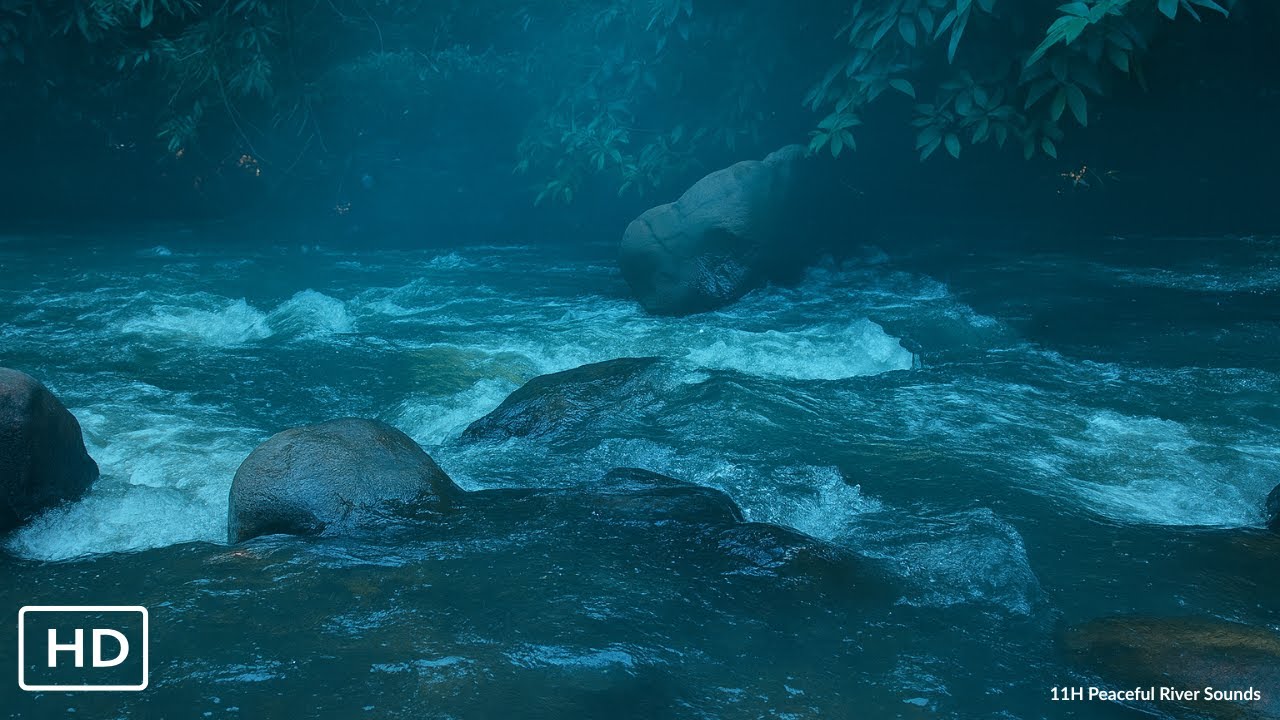 Real Night River – Gentle Flowing Water