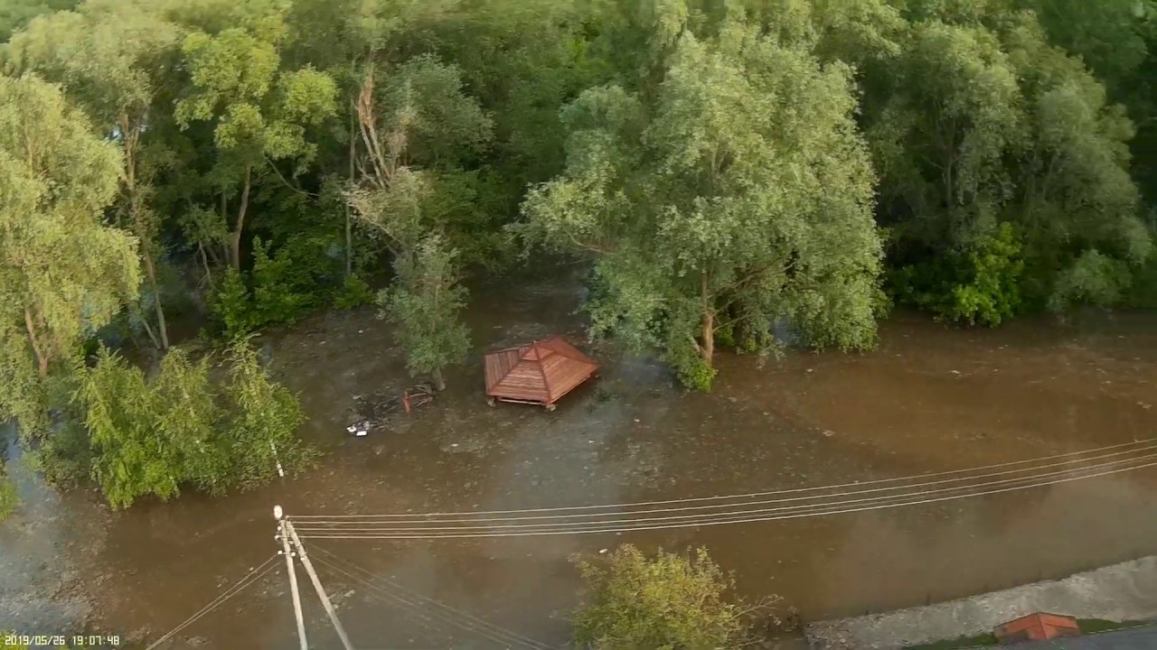 Rybitwy  26 maj 2019  godzina 19 06