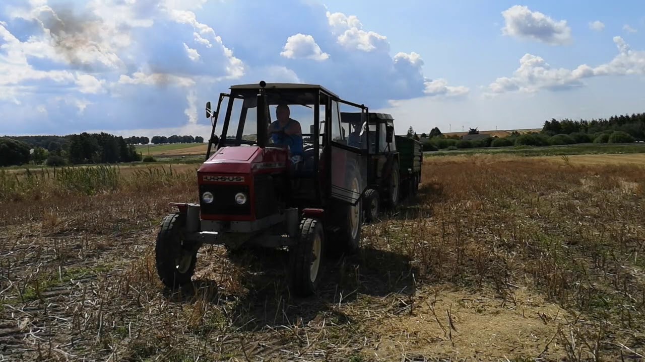 Żniwa 2019. URSUS NA RATUNEK! URSUS C-385 i ZETOR 7011 czyli wyciąganie Zetora z doliny.