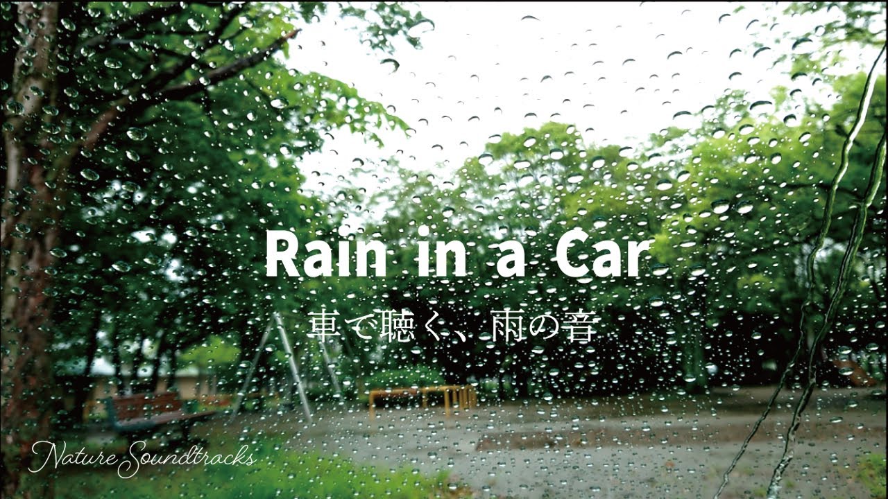 【自然音】車の中 雨の音 1時間│癒しの音 作業用、瞑想用、勉強用