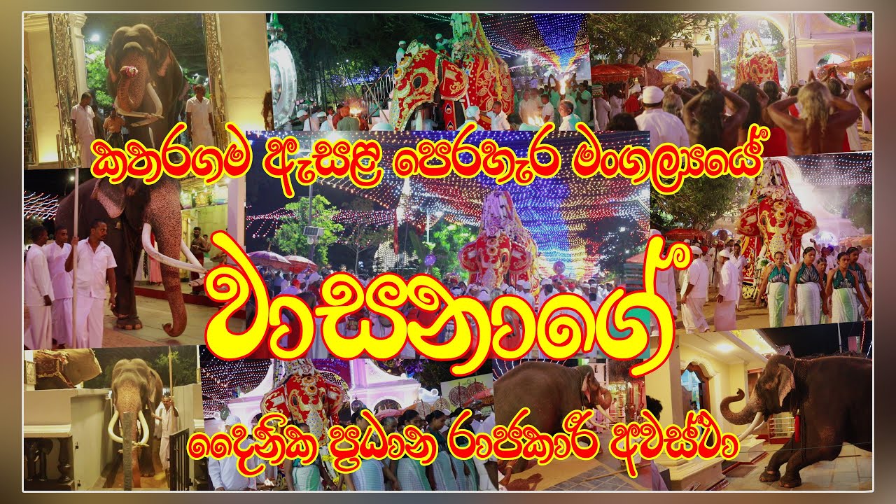 ඇසළ පෙරහැර මංගල්‍යය 2024  වාසනාගේ සම්පූර්ණ රාජකාරී ආවරණ වීඩියෝව #kataragamawasana #wasana #වාසනා