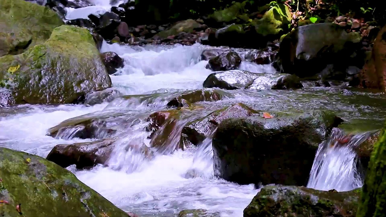 River Sound Bath at Night | Deep Sleep Calm Water Ambience