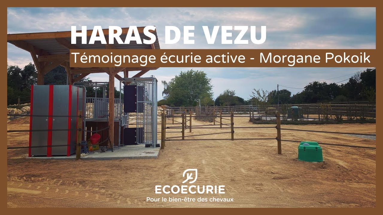 Morgane POKOIK - &eacute;curie active HARAS DE VEZU