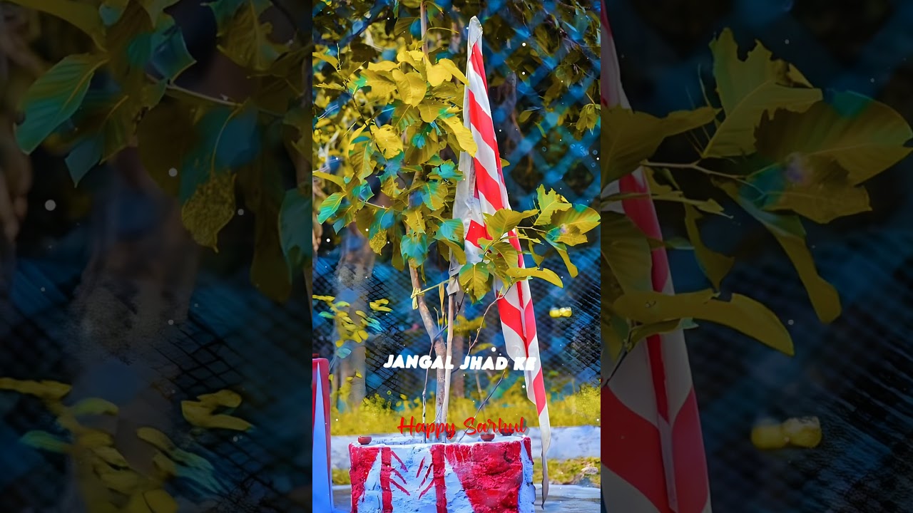 🌿🇦🇹 happy sarhul 🇦🇹🌿 sarna status video 🇦🇹sarhul festival jharkhand #happysarhul #sarnamaa  #sarhu