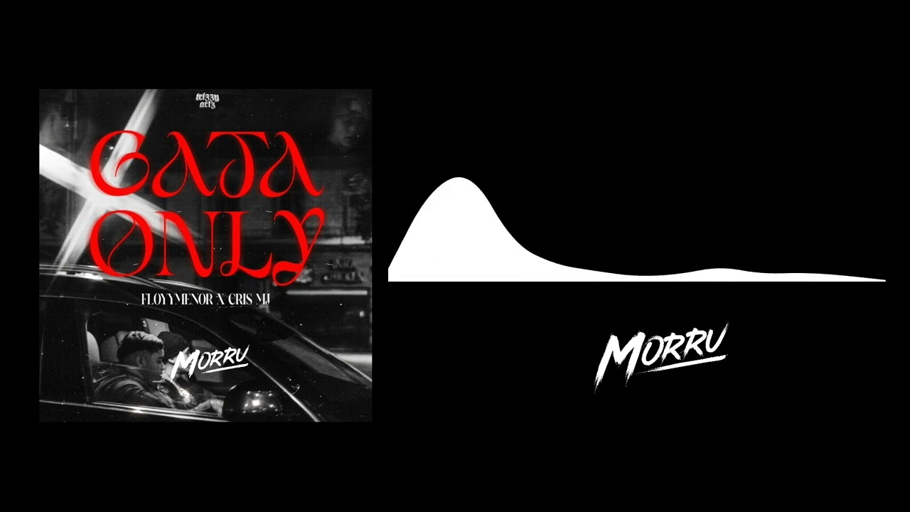 FloyyMenor feat. Cris MJ - Gata Only (Morru Remix)