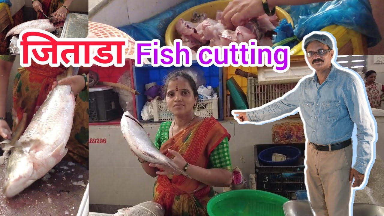 Jitada (Asian SeaBass) fish cutting जिताडा मासा cutting