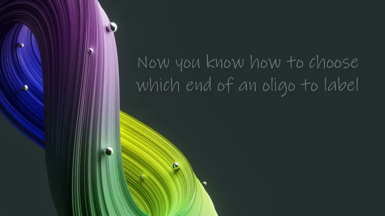 Which end of my custom oligo should I add a modification? | Dharmacon™ Oligo Synthesis Tips | Ep. 3