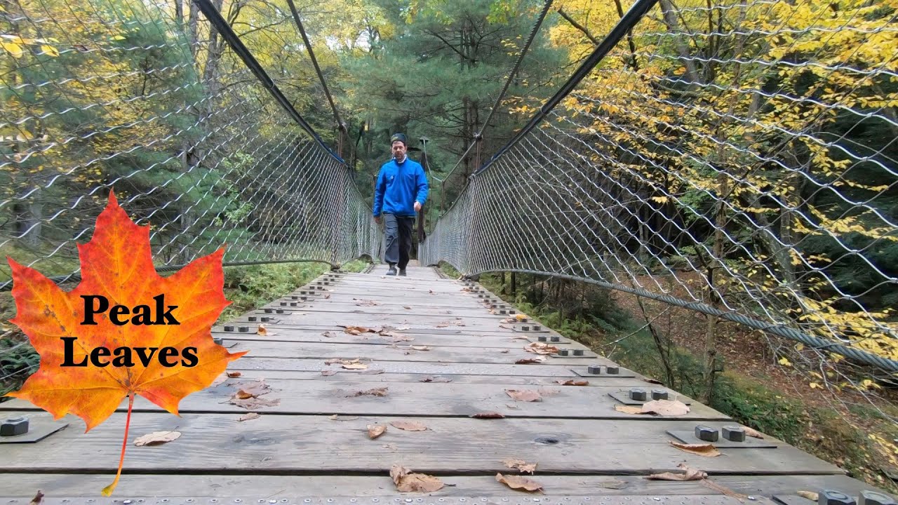 Short Hike | Swinging Bridge
