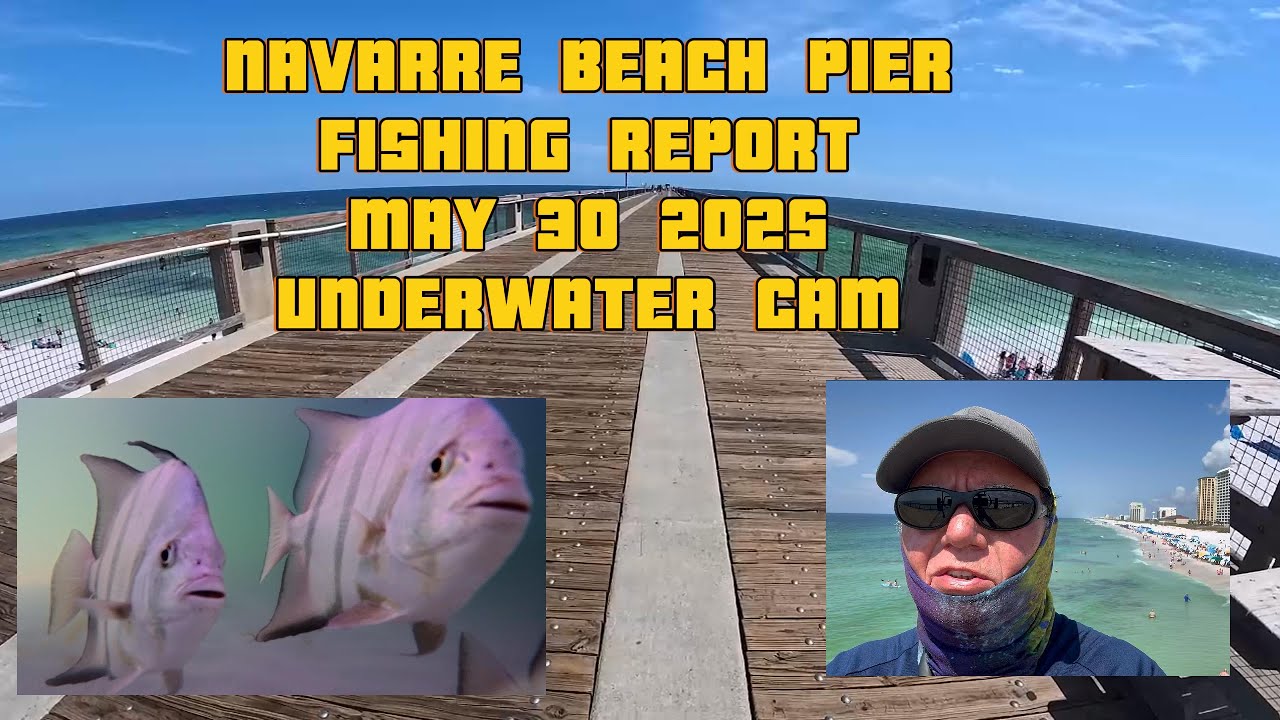 Navarre Beach Florida Fishing Pier Report. For May 30, 2025. Underwater Camera. What's being caught?