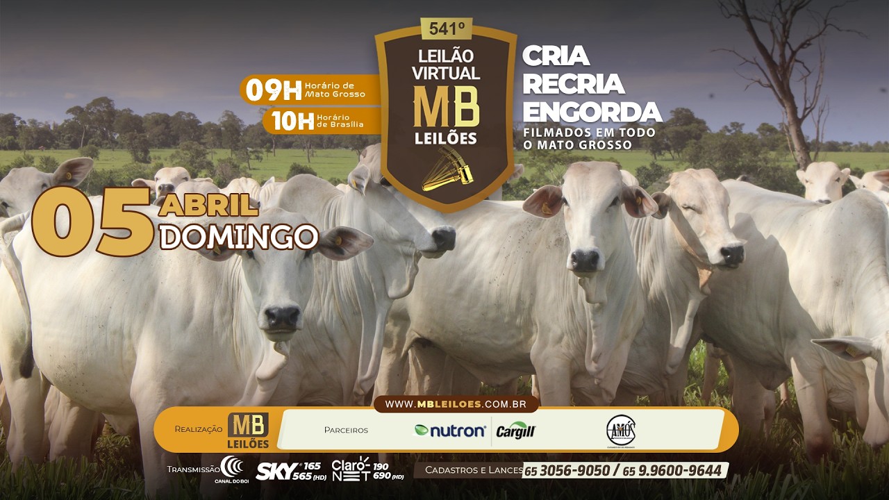 541&deg; LEIL&Atilde;O VIRTUAL - MB LEIL&Otilde;ES
