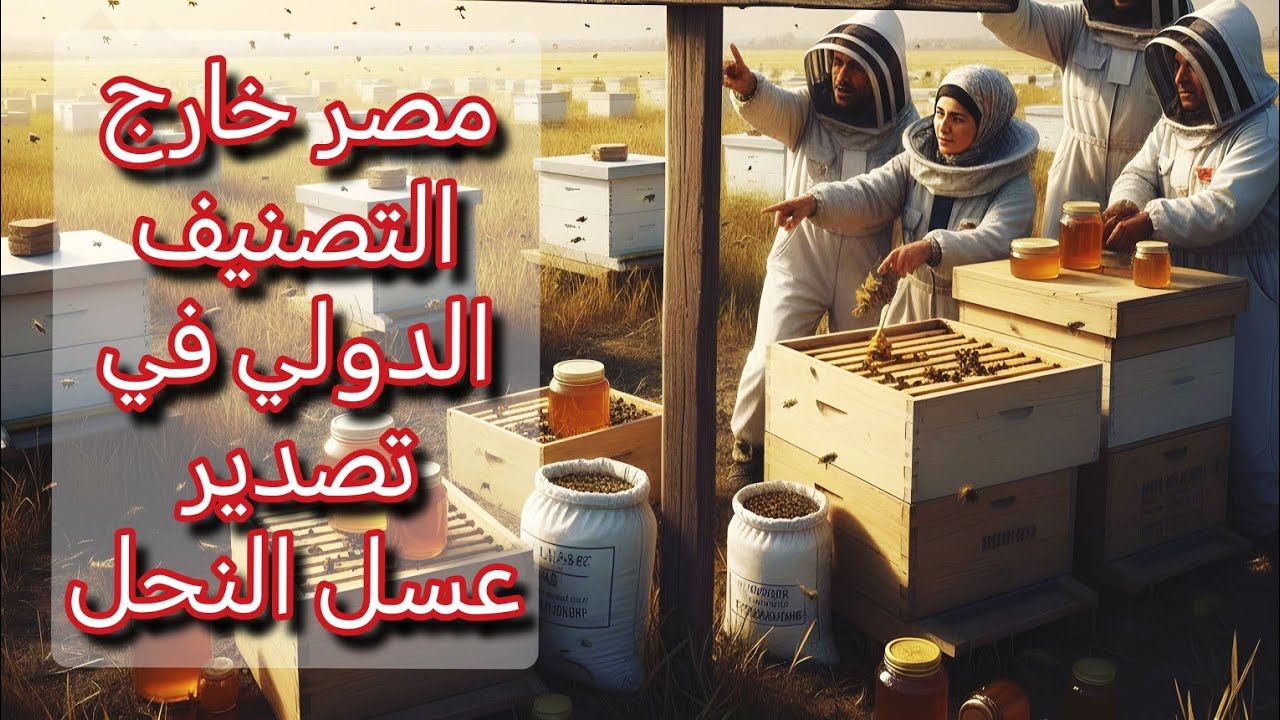 مصر خارج التصنيف الدولي في تصدير عسل النحل