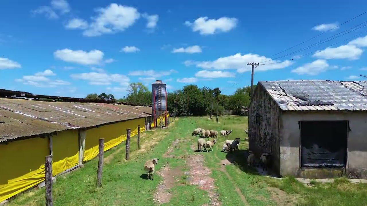VENTA FRACCION DE CAMPO 11 HECTAREAS ZONIFICACION CR1 EN PILAR