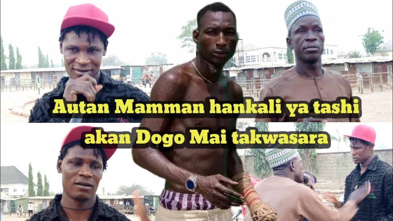 Autan Mamman na so kafin ka ajiye dambe ka cinye Dogo Mai takwasara
