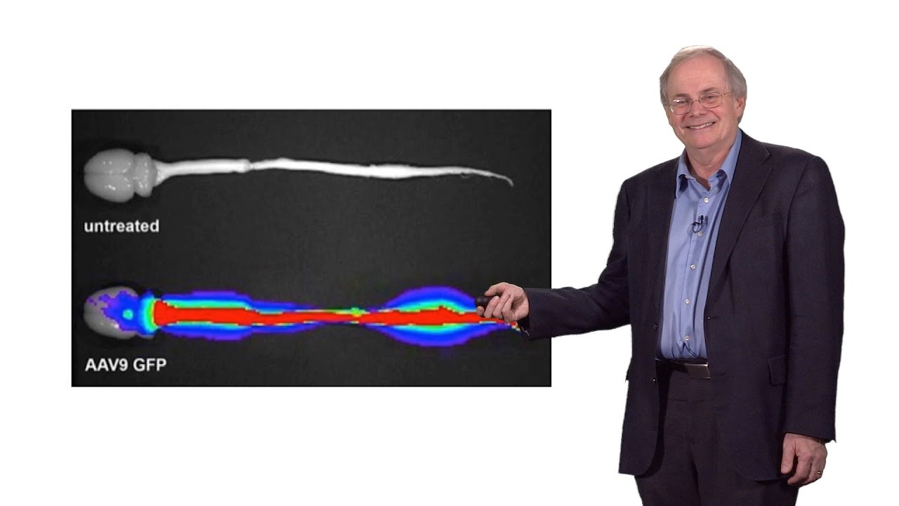 Gregory Petsko (Cornell) 3: Neurodegenerative disease: A potential gene therapy for ALS