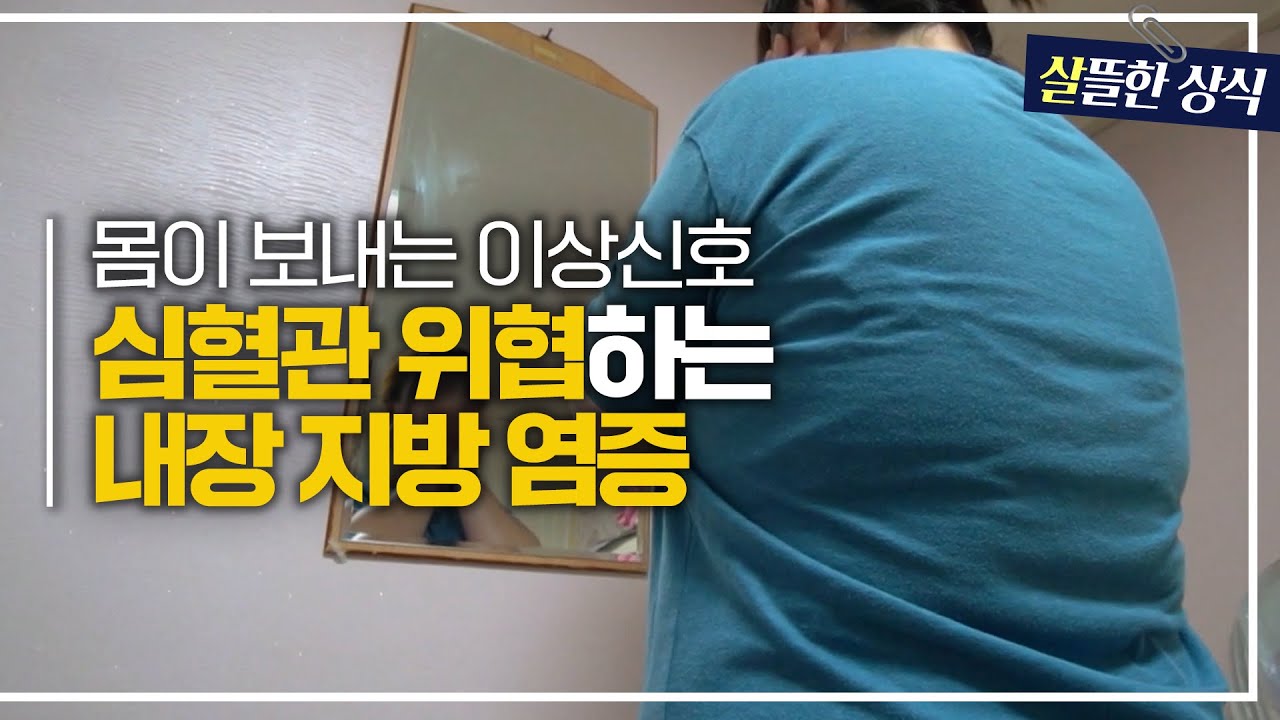 비만 때문에 확 변한 내 인생😟 모두 내장 지방이 만든 염증 때문이었다?｜한 번 더 리즈시절｜JTBC 230819 방송