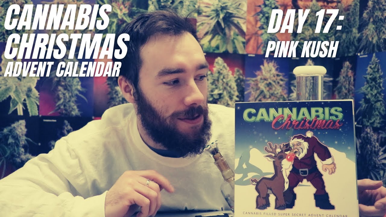 Cannabis Christmas Advent Calendar Unboxing   Day 17: Pink Kush