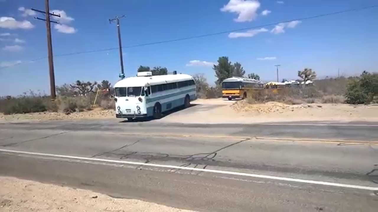 Buses Gone Wild VII