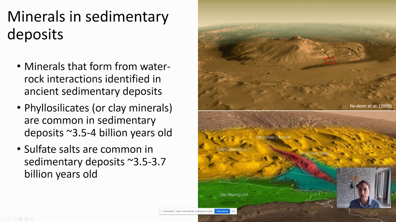 Advances in the Mineralogy of Mars