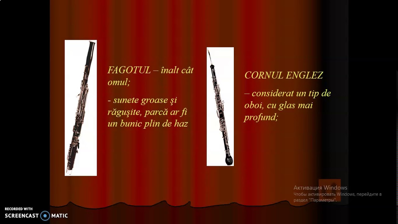 Educația muzicală  Instrumentele muzicale